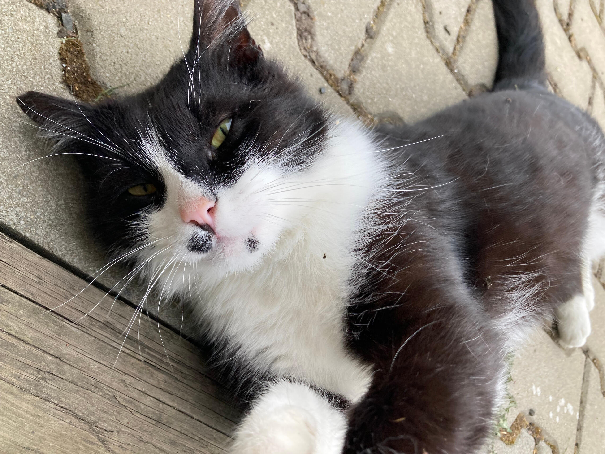 emotional workshop zoom call