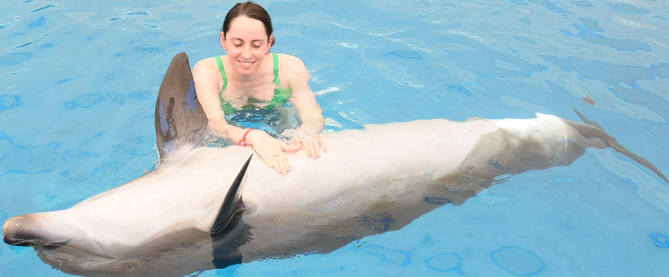 emotional workshop zoom call