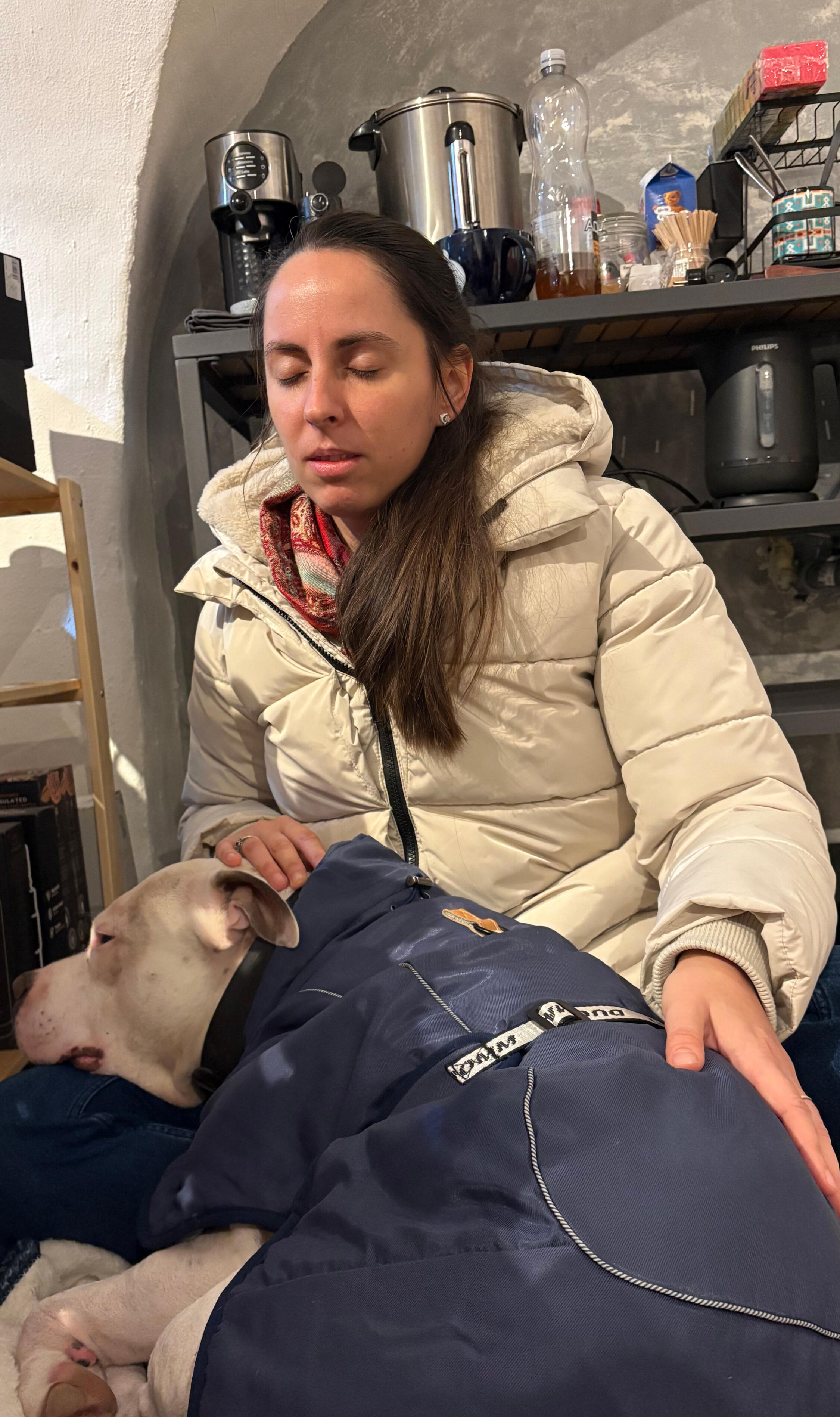 emotional workshop zoom call